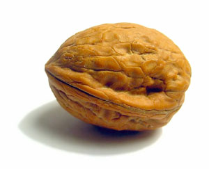 fe52e75bee49c11bdffeb46c649e389c_1642566225.jpg